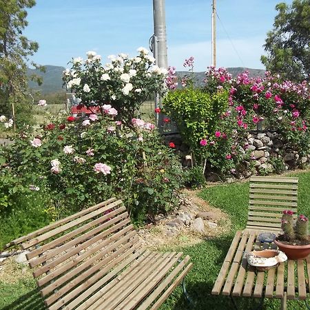 مبيت وإفطار Marrùbiu Il Vecchioliveto Di Ornella الغرفة الصورة