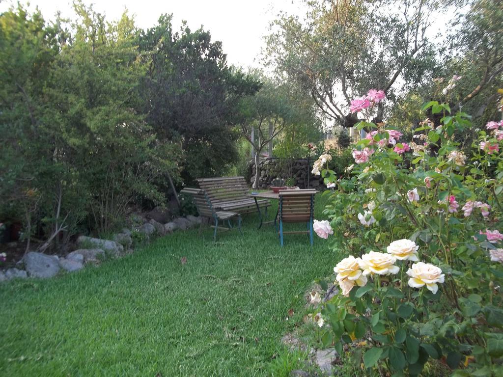 مبيت وإفطار Marrùbiu Il Vecchioliveto Di Ornella الغرفة الصورة