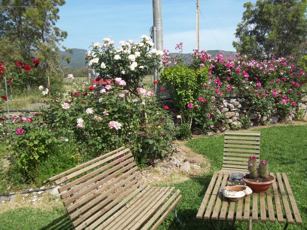 مبيت وإفطار Marrùbiu Il Vecchioliveto Di Ornella الغرفة الصورة