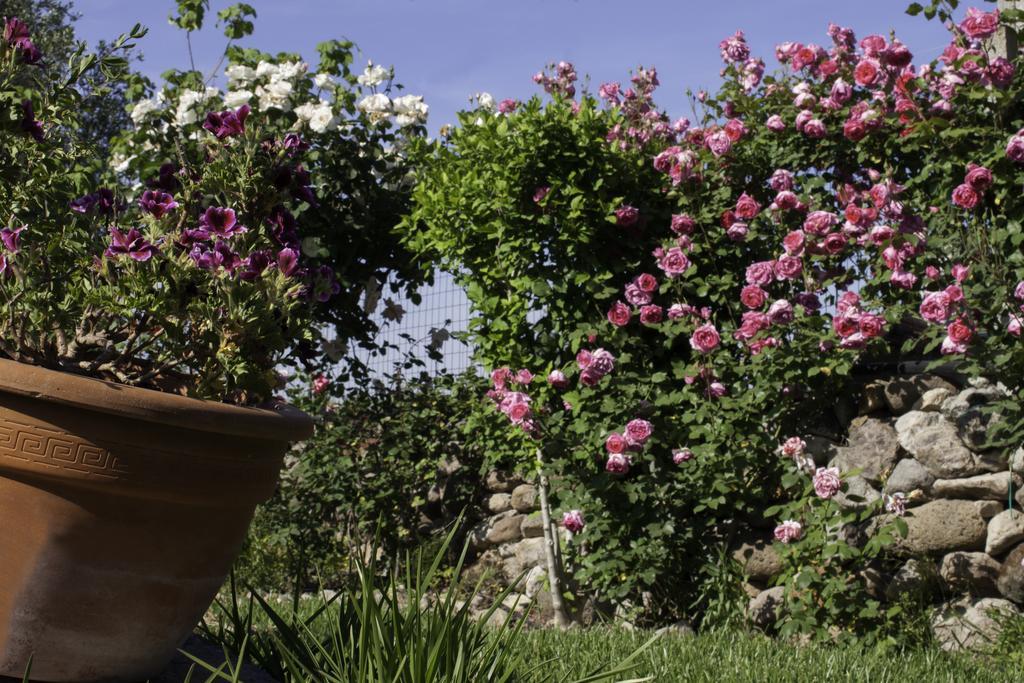 مبيت وإفطار Marrùbiu Il Vecchioliveto Di Ornella المظهر الخارجي الصورة