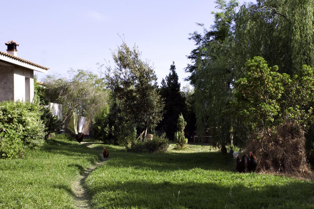 مبيت وإفطار Marrùbiu Il Vecchioliveto Di Ornella المظهر الخارجي الصورة