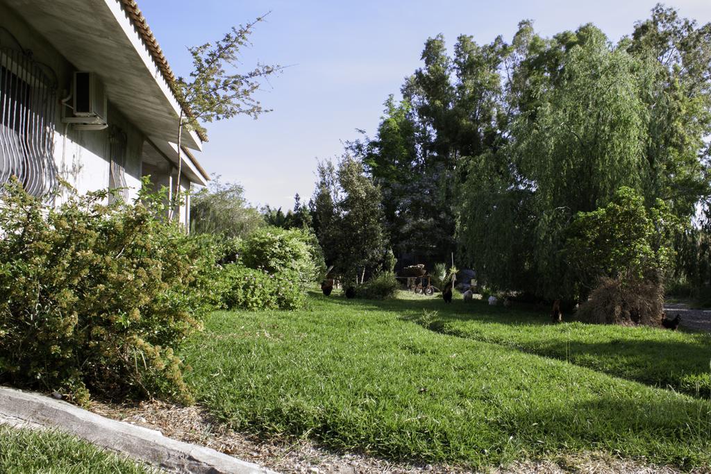 مبيت وإفطار Marrùbiu Il Vecchioliveto Di Ornella المظهر الخارجي الصورة