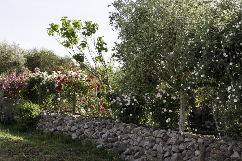 مبيت وإفطار Marrùbiu Il Vecchioliveto Di Ornella المظهر الخارجي الصورة