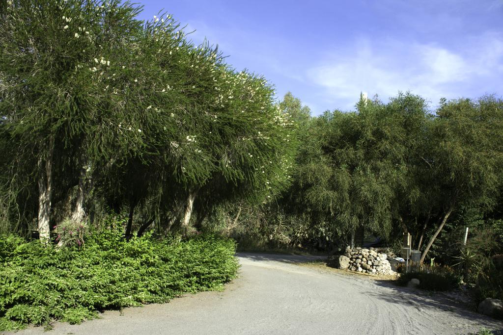 مبيت وإفطار Marrùbiu Il Vecchioliveto Di Ornella المظهر الخارجي الصورة